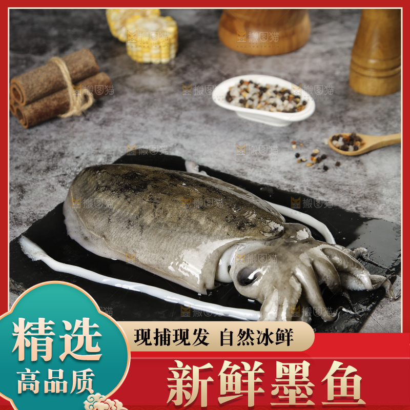 黑板上放着墨鱼