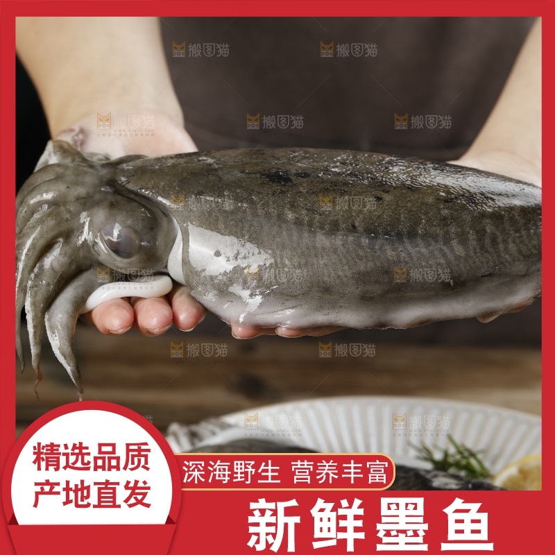 手上拿着的大墨鱼
