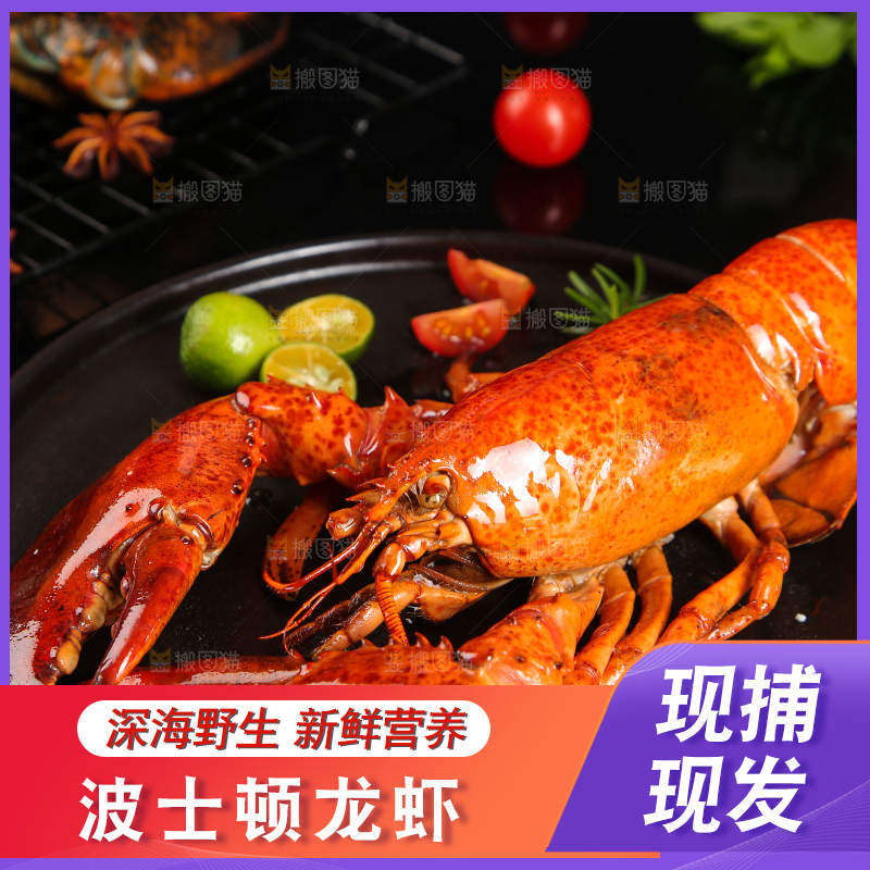 黑底上放着波士顿大龙虾