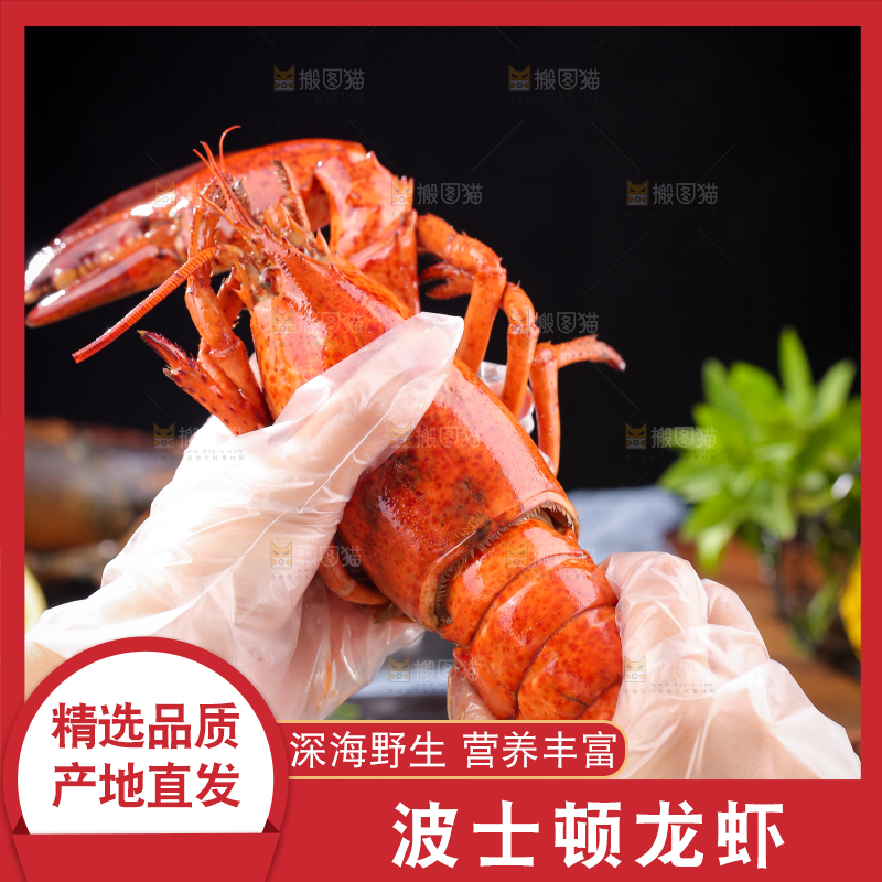 手上拿着澳洲龙虾