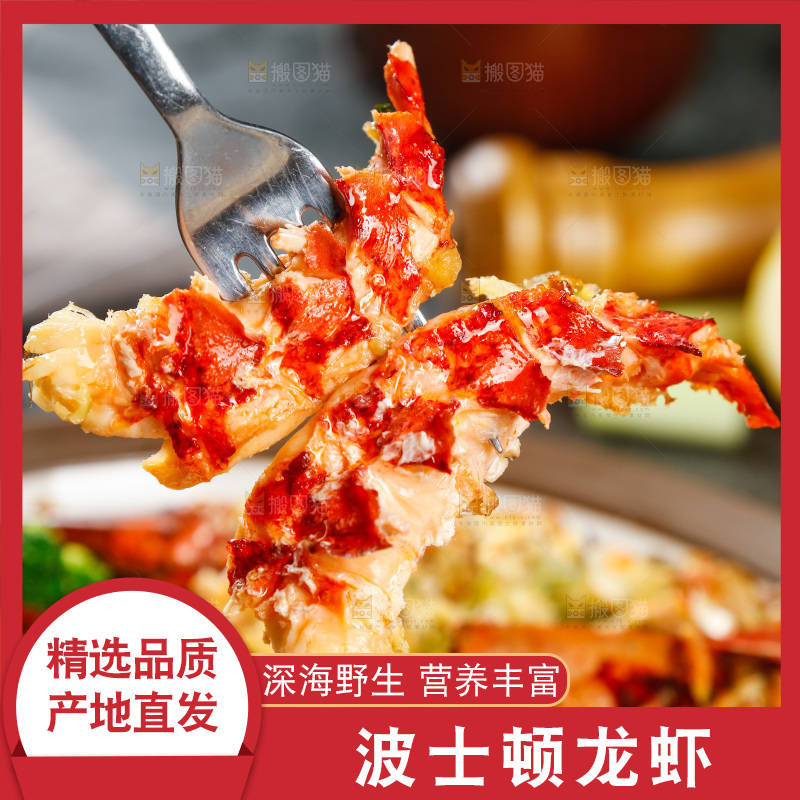 叉子上叉着波士顿龙虾肉
