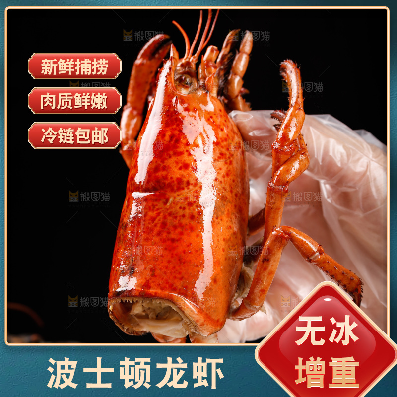手上拿着澳洲龙虾