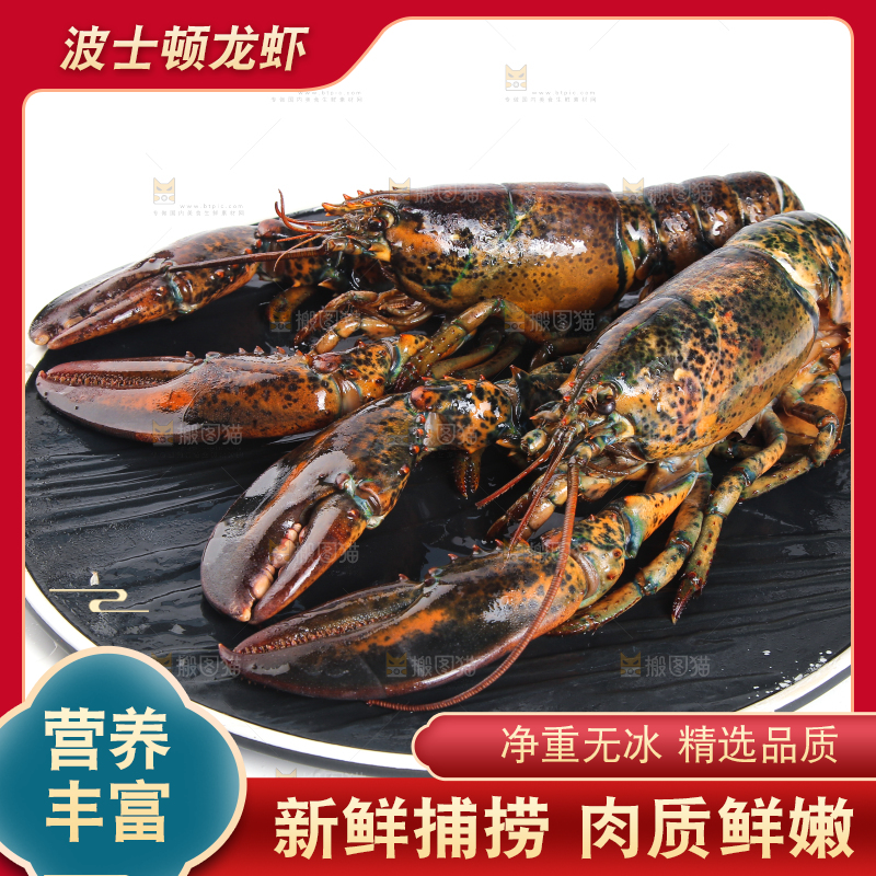 白底上放着一盘澳洲龙虾