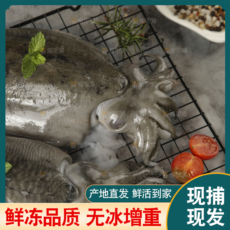 深底上放着墨鱼
