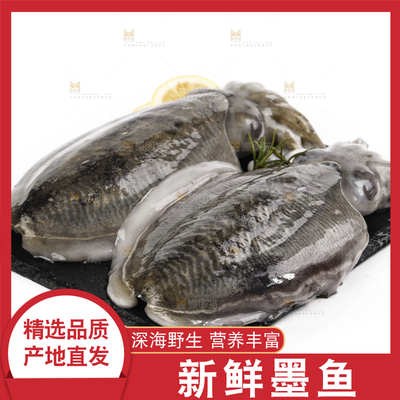 黑板上放着北海墨鱼