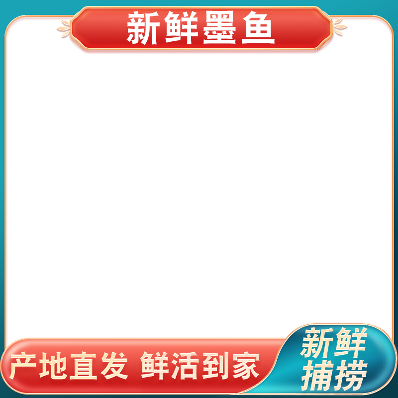 深底上放着墨鱼
