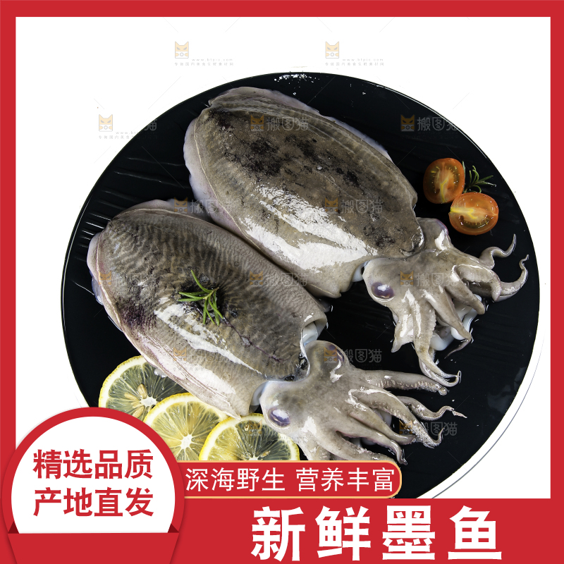 白底上放着一盘北海墨鱼