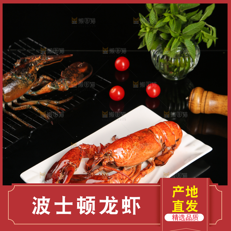 黑底上放着一盘澳洲龙虾