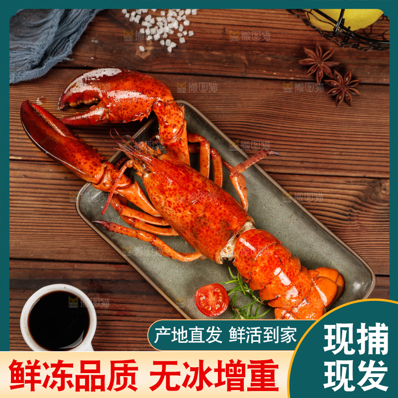 木底上放着波士顿大龙虾
