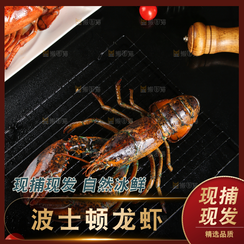黑底上放着波士顿大龙虾