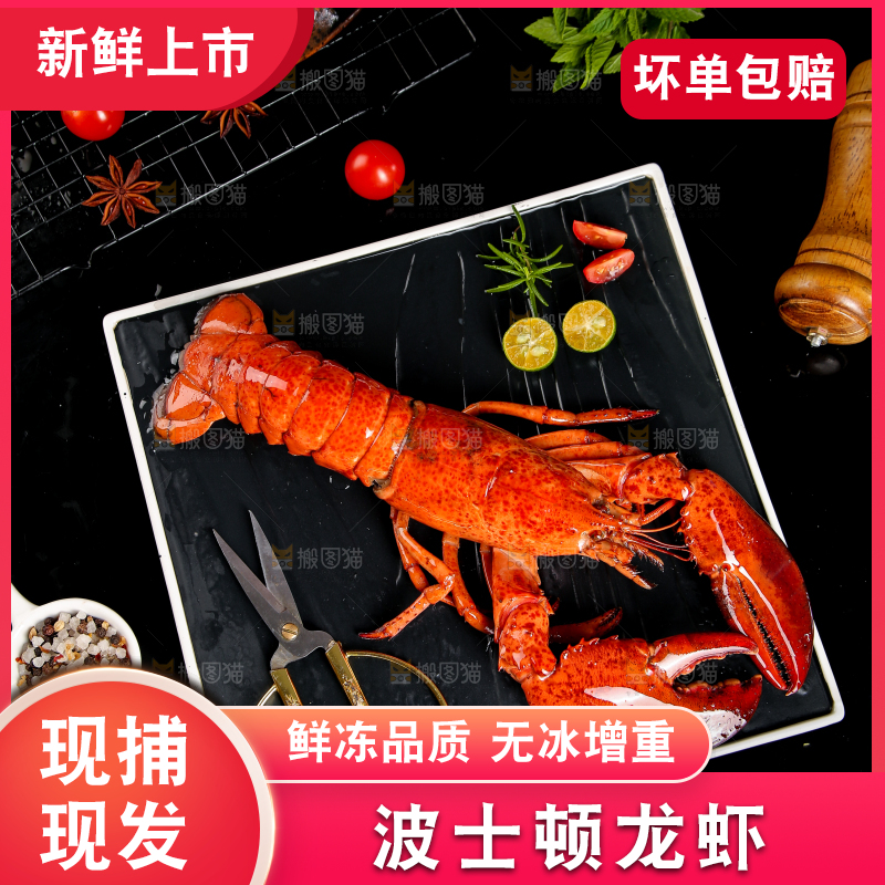 黑底上放着波士顿大龙虾