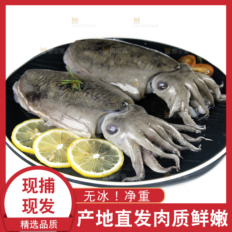 白底上放着一盘北海墨鱼