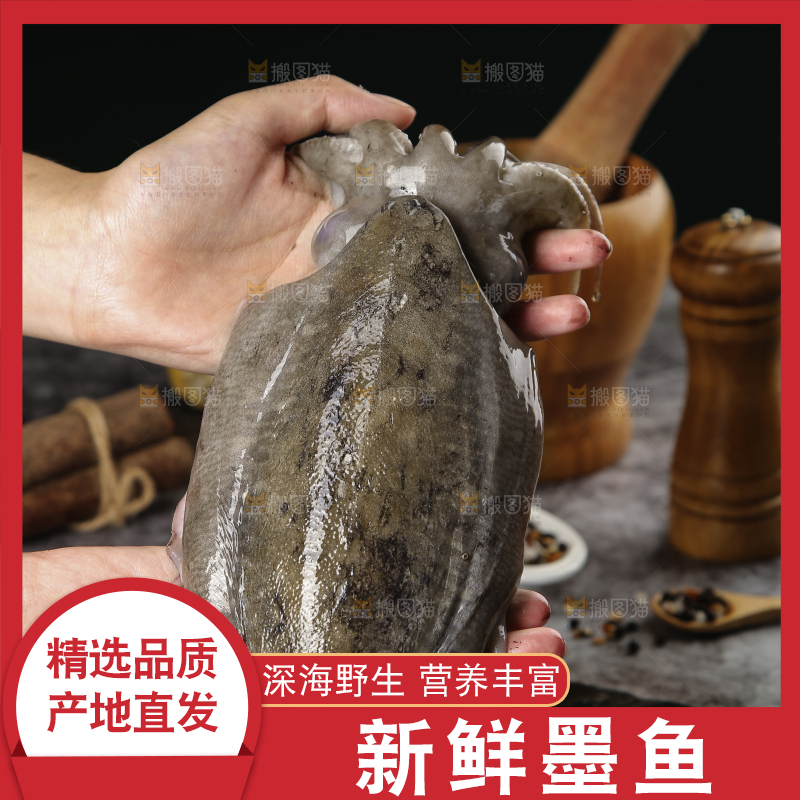 手上拿着墨鱼
