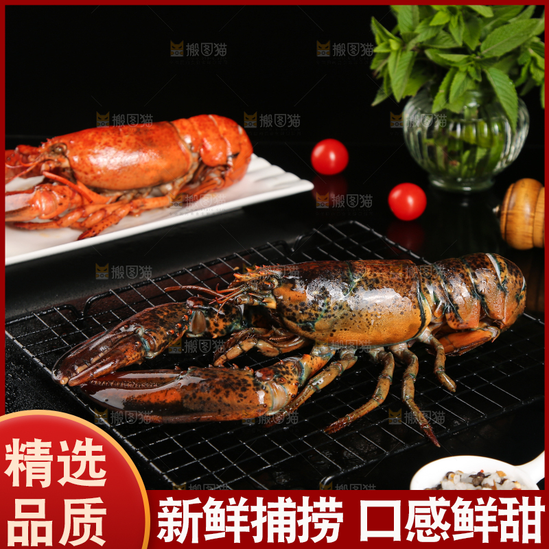 黑底上放着波士顿大龙虾