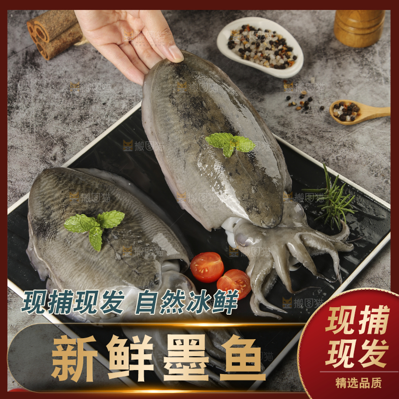 手上拿着墨鱼