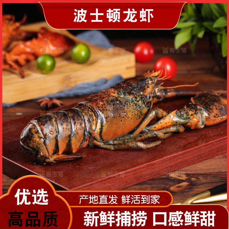 木板上放着澳洲大龙虾