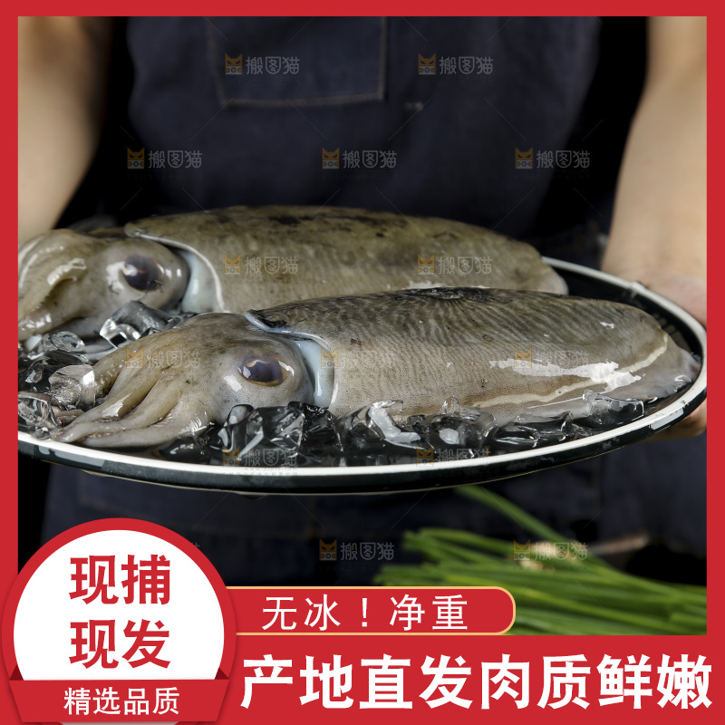 手上端着一盘北海墨鱼