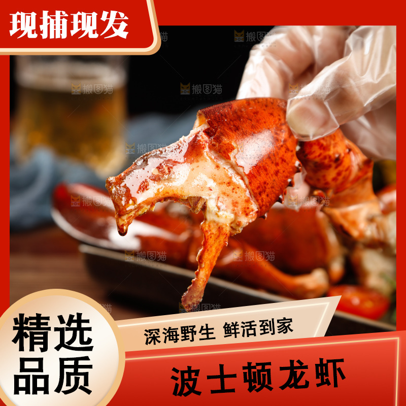 手上拿着波士顿大龙虾