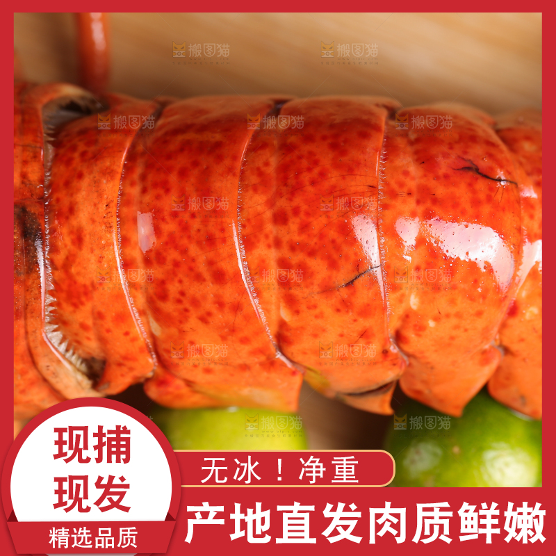 木板上放着波士顿龙虾