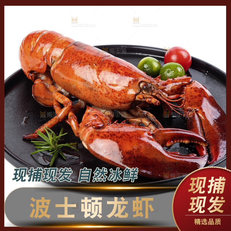 白底上放着一盘澳洲龙虾
