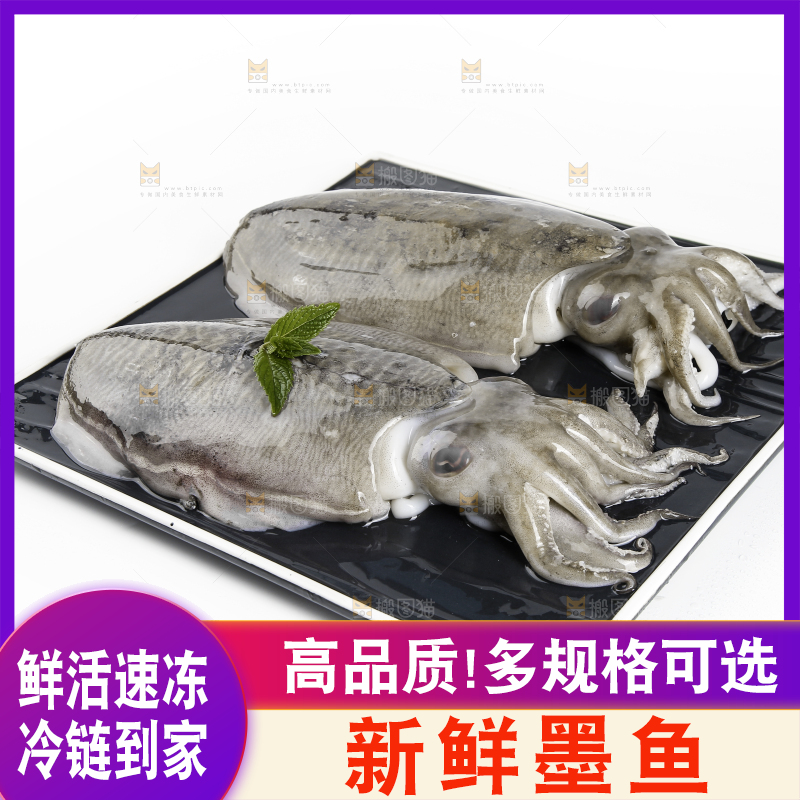 黑板上放着北海墨鱼