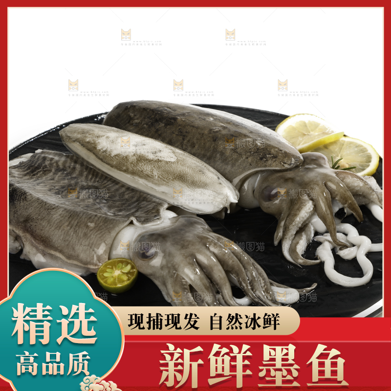 白底上放着一盘北海墨鱼