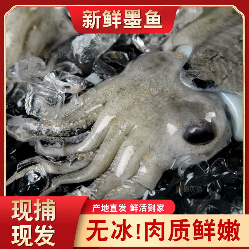 黑底上放着一盘北海墨鱼