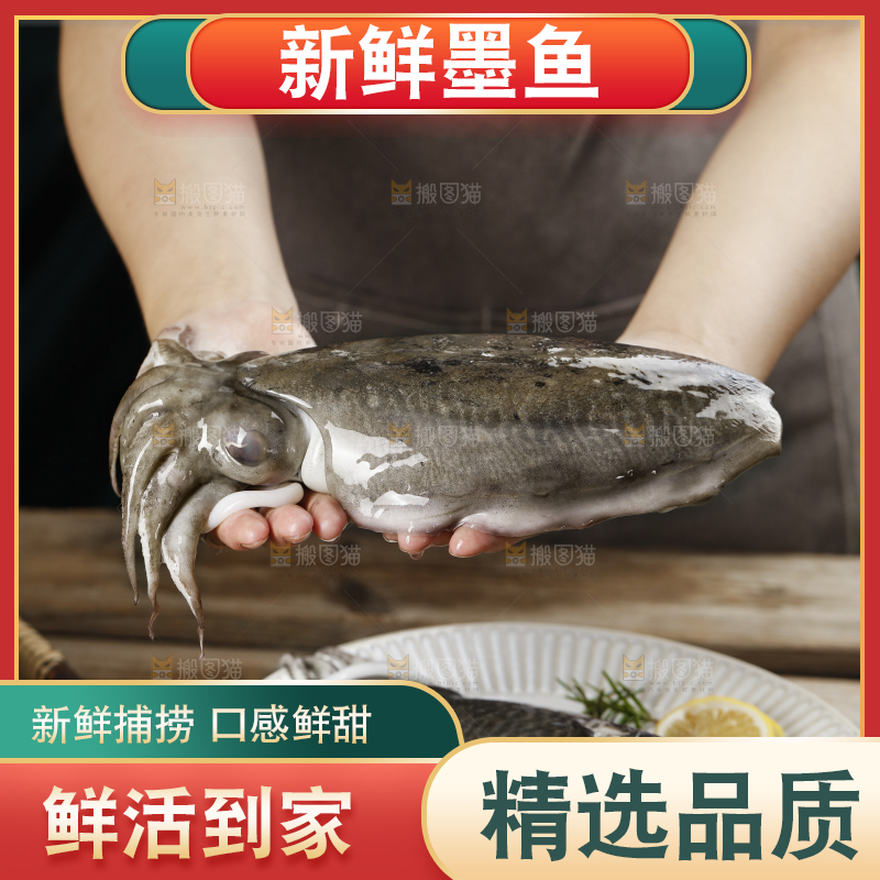 手上拿着的大墨鱼