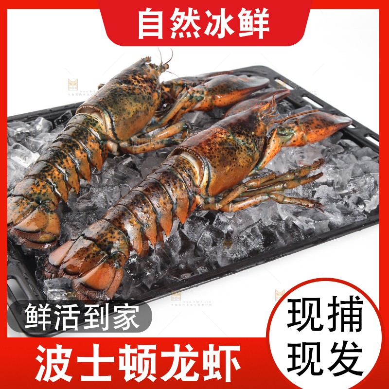 黑板上放着波士顿大龙虾