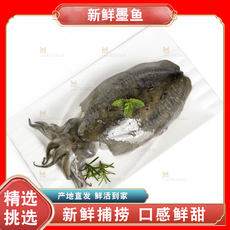 白底上放着墨鱼