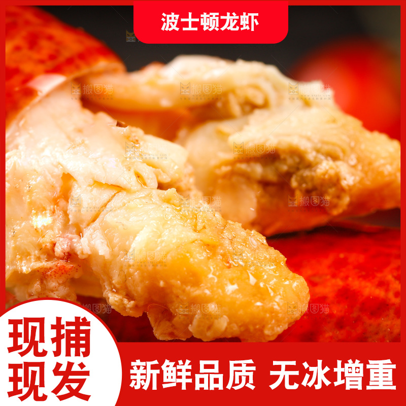 波士顿大龙虾肉