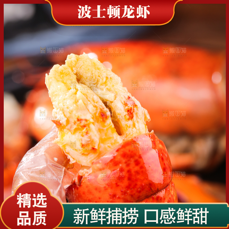 手上拿着澳洲龙虾