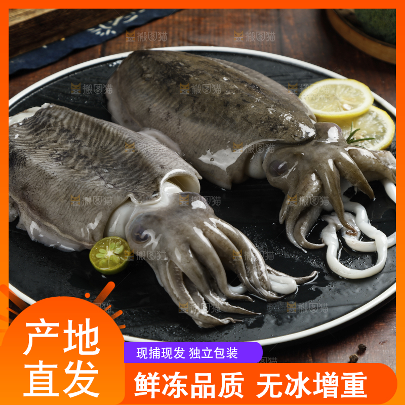木底上放着一盘北海墨鱼