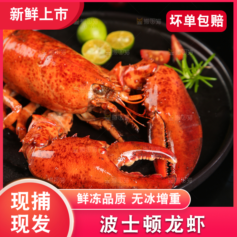 黑底上放着波士顿大龙虾
