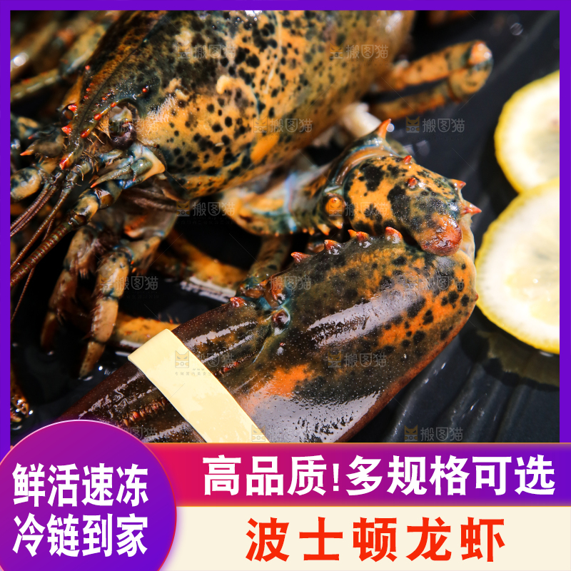 黑底上放着一盘澳洲龙虾