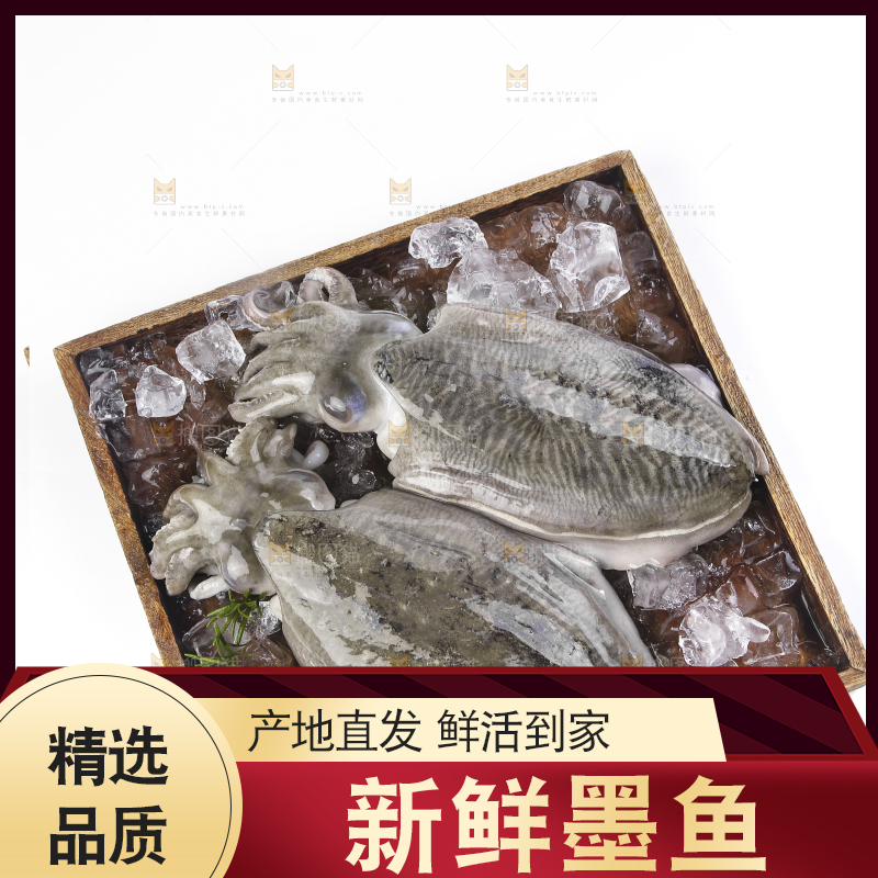 木板上放着墨鱼
