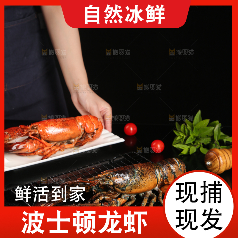 黑底上放着波士顿大龙虾