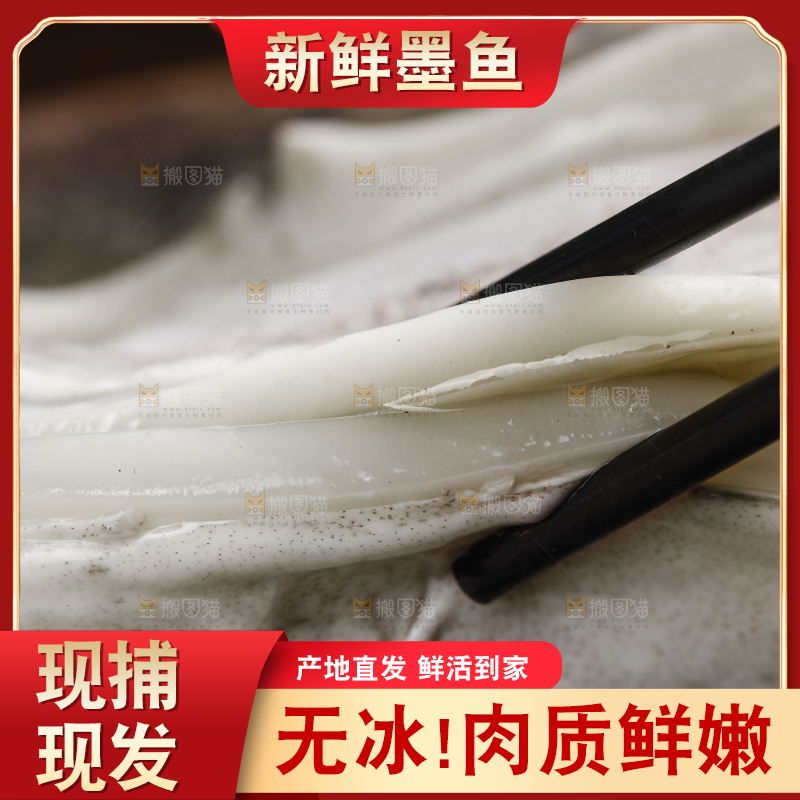 新鲜的野生大墨鱼