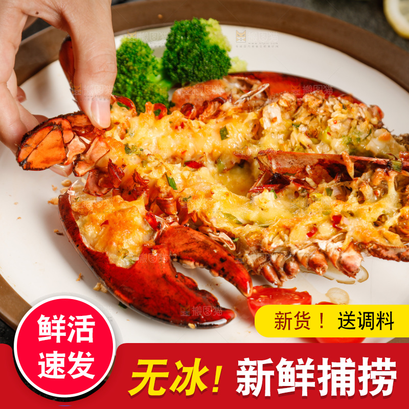 手拿着澳洲龙虾