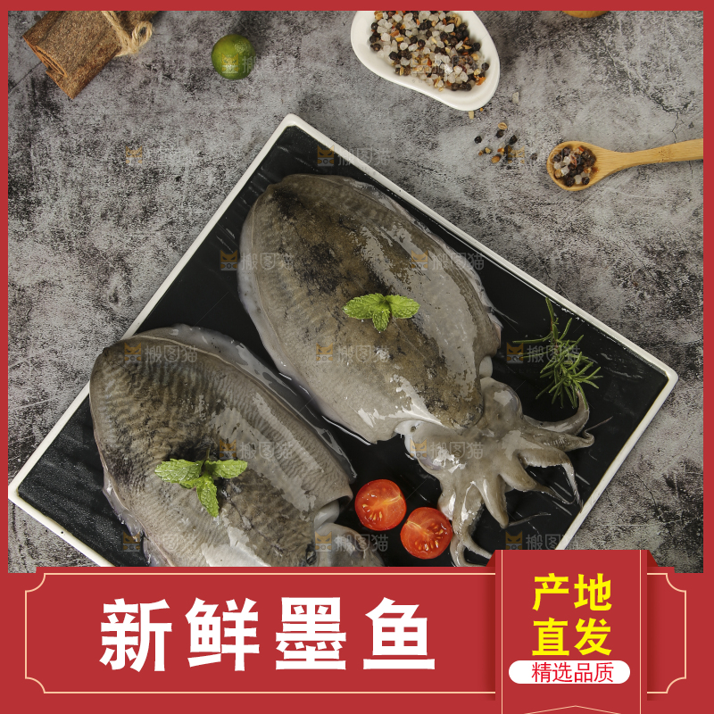 深底上放着墨鱼