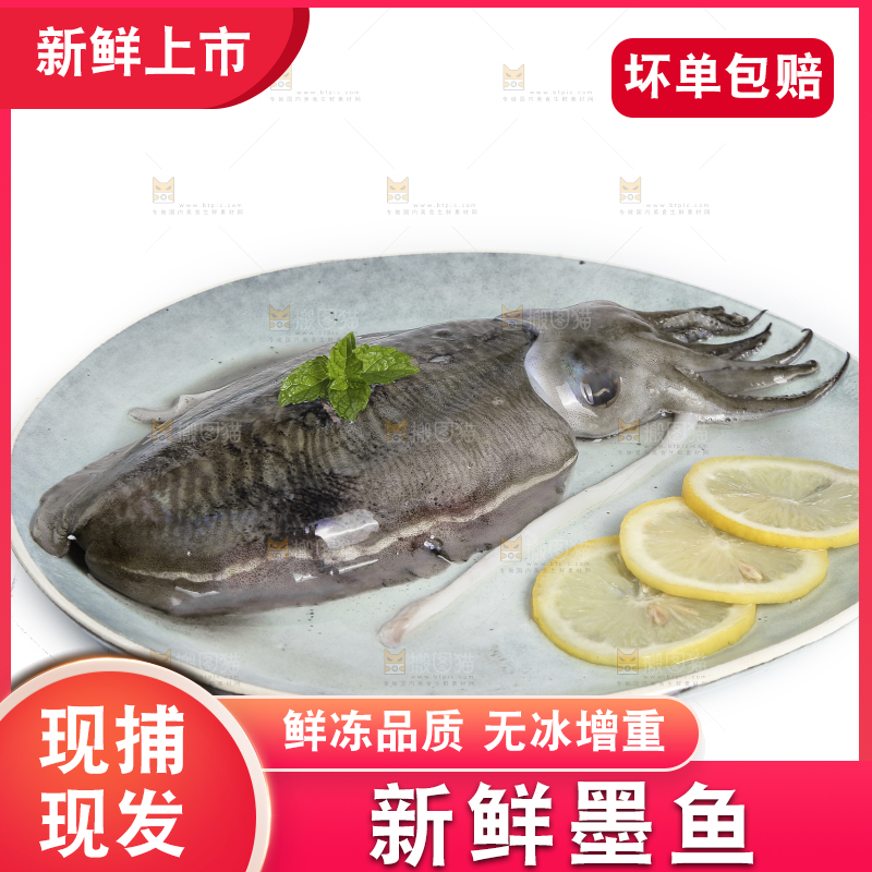 白底上放着一盘墨鱼