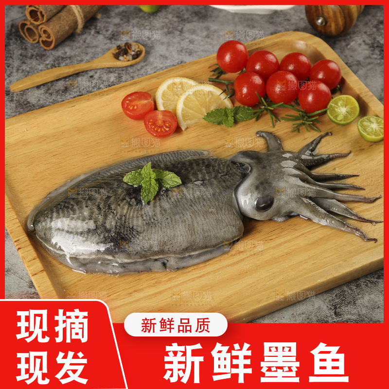 木板上放着墨鱼