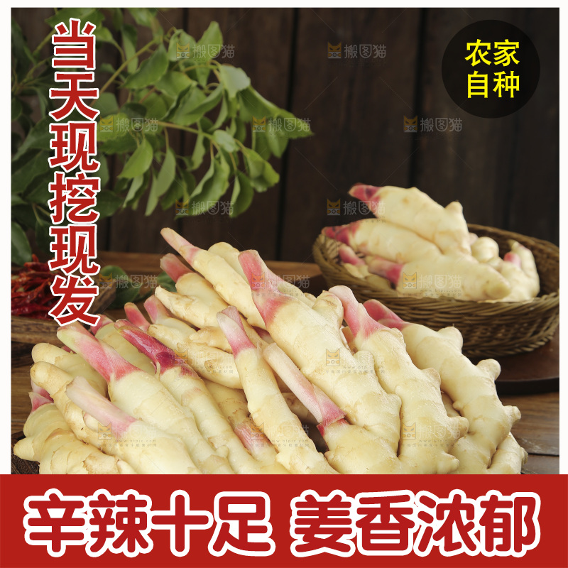 木板上放着山东嫩姜