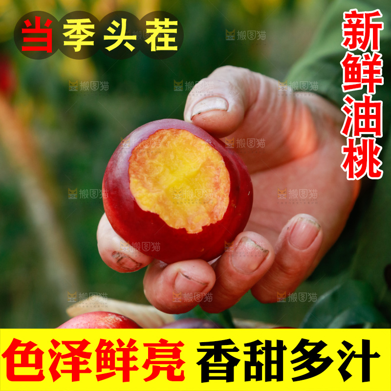 手上拿着黄心油桃