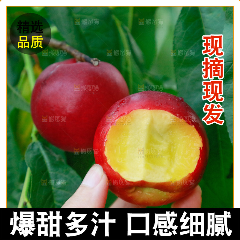 手上拿着黄心油桃