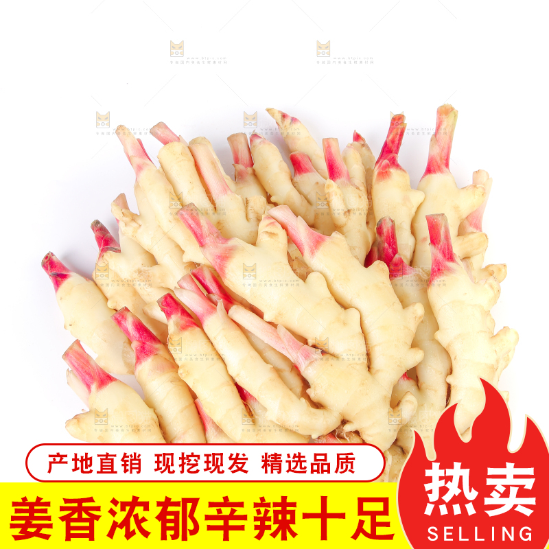 白底上放着一堆嫩姜芽