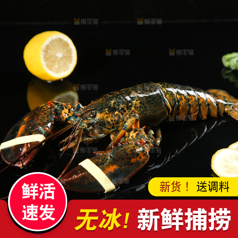 黑底上放着波士顿大龙虾
