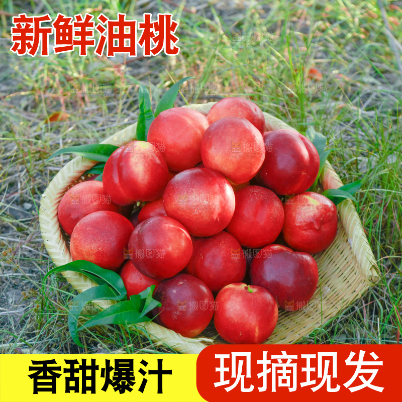 草坪上放着一篮红油桃