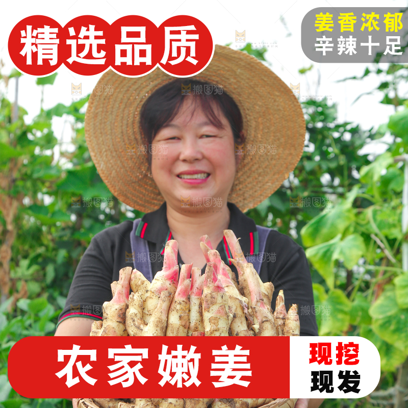 阿姨手上抱着一篮嫩姜