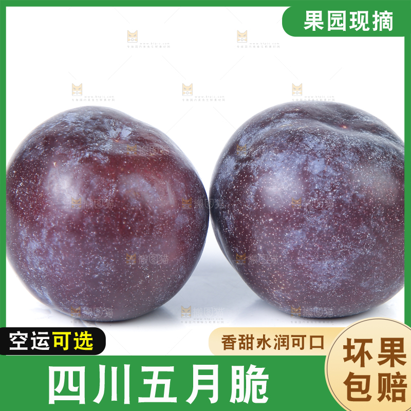 白底上放着五月脆李